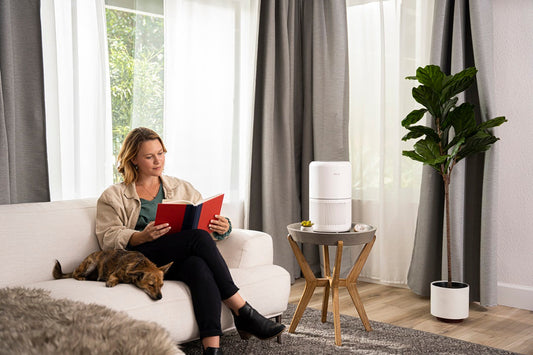 Mẹo giữ không gian sống sạch sẽ & thơm tho mỗi ngày với máy lọc không khí