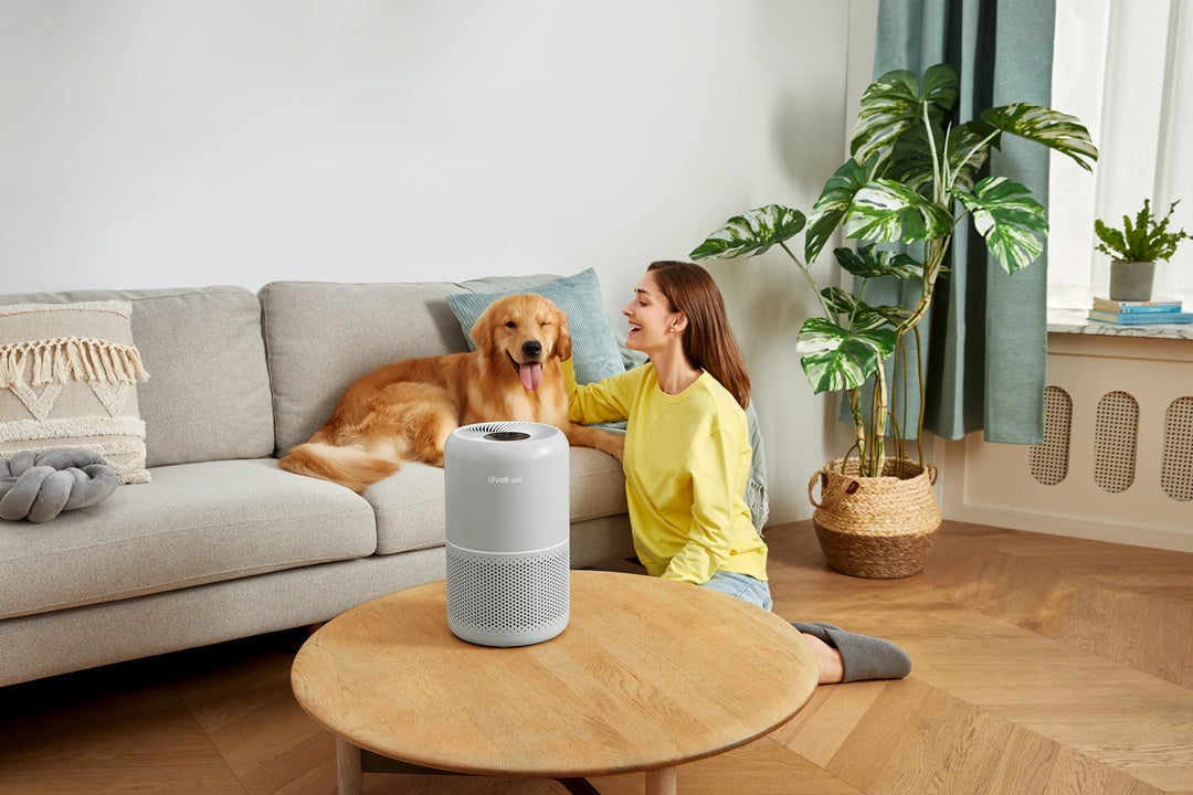 Máy lọc không khí tốt nhất 2026 giá dưới 5 triệu: Top 5 lựa chọn nổi bật cho mọi gia đình