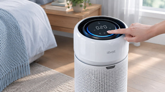 Cách mở lõi lọc Levoit Eleva 300X và vệ sinh, thay màng lọc đúng cách