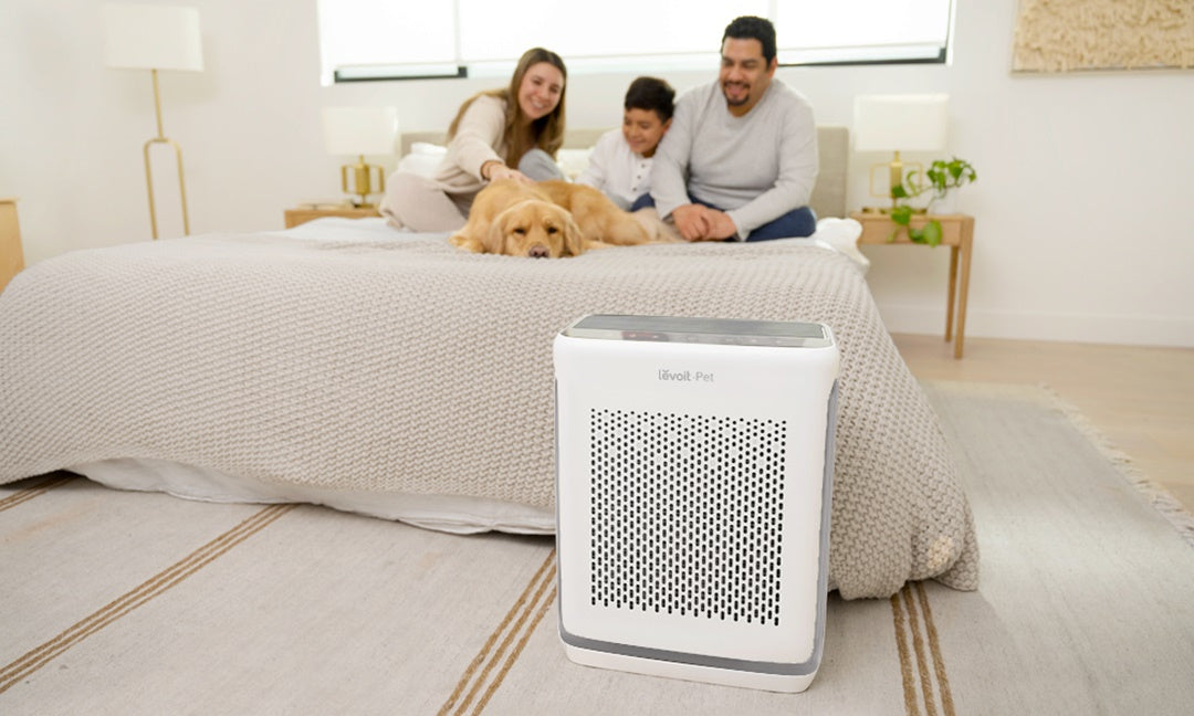 Đầu tư máy lọc không khí – Lợi ích sức khỏe & kinh tế lâu dài cho gia đình Việt