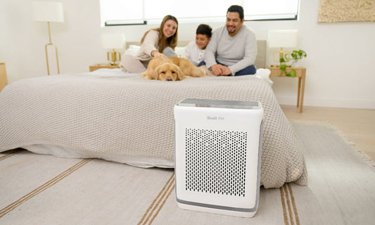 Đầu tư máy lọc không khí – Lợi ích sức khỏe & kinh tế lâu dài cho gia đình Việt