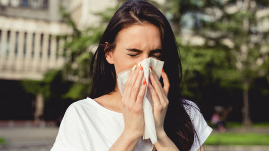 Dị ứng bụi bẩn: Nguyên nhân, triệu chứng và cách phòng ngừa hiệu quả tại nhà