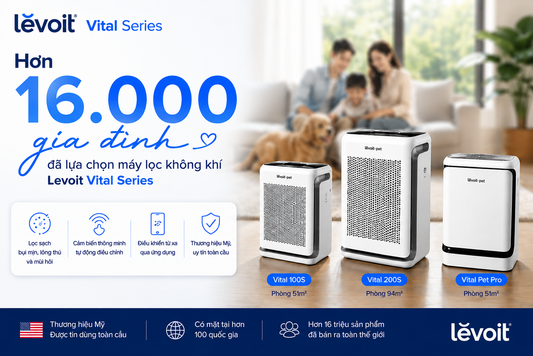 Hơn 16.000 gia đình đã lựa chọn máy lọc không khí Levoit Vital Series – Điều gì khiến sản phẩm được yêu thích?