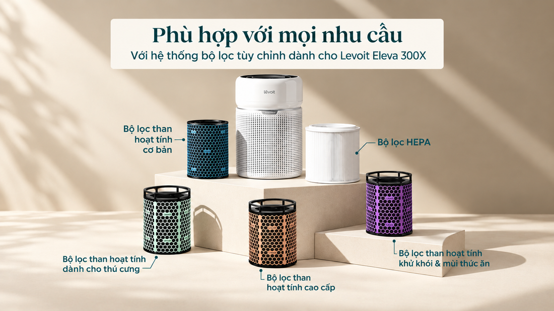 Các loại lõi lọc than hoạt tính Levoit Eleva 300X và cách chọn