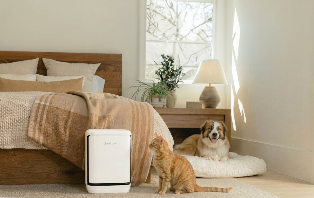 Những tính năng mới xuất hiện trên máy lọc không khí Levoit Vital Pet Pro