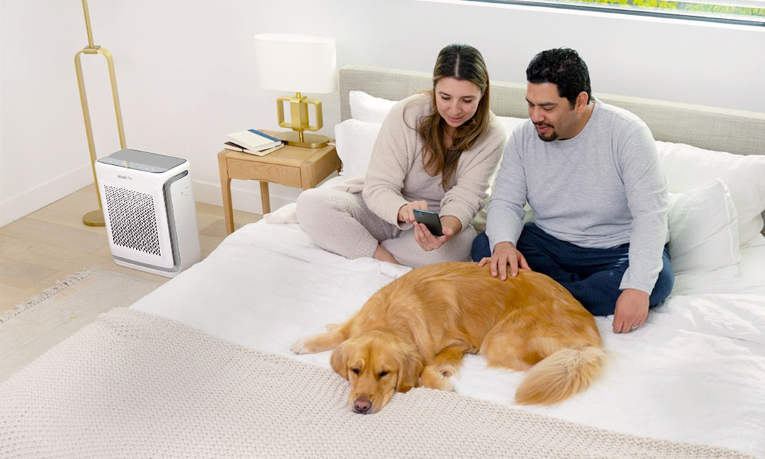 Ô nhiễm không khí và sức khỏe tim mạch – Mối nguy ít người để ý và giải pháp bảo vệ tại nhà