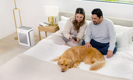 Ô nhiễm không khí và sức khỏe tim mạch – Mối nguy ít người để ý và giải pháp bảo vệ tại nhà
