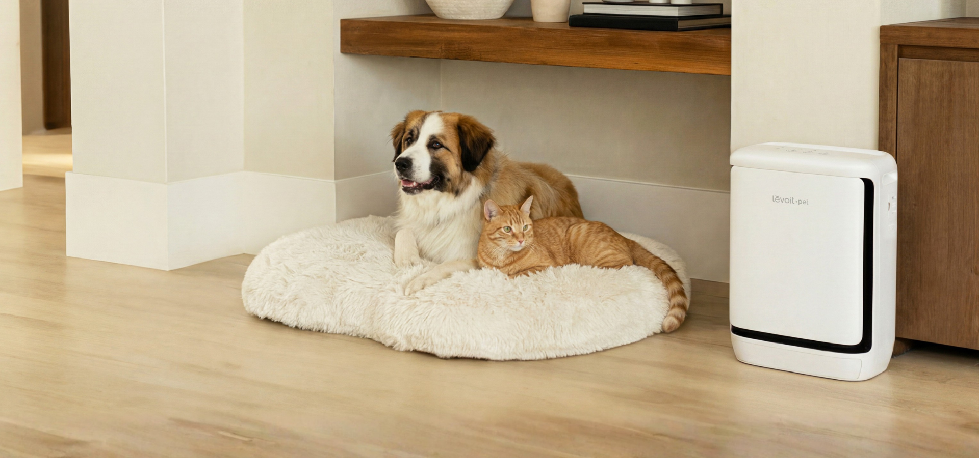 levoit-vital-pet-pro